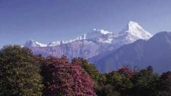 Ausblick auf das Annapurna Gebirge