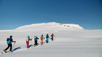 Skitourengruppe beim Aufstieg zu einem Gipfel