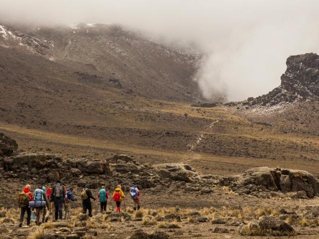 Trekking am Kilimandscharo auf der Machame Route