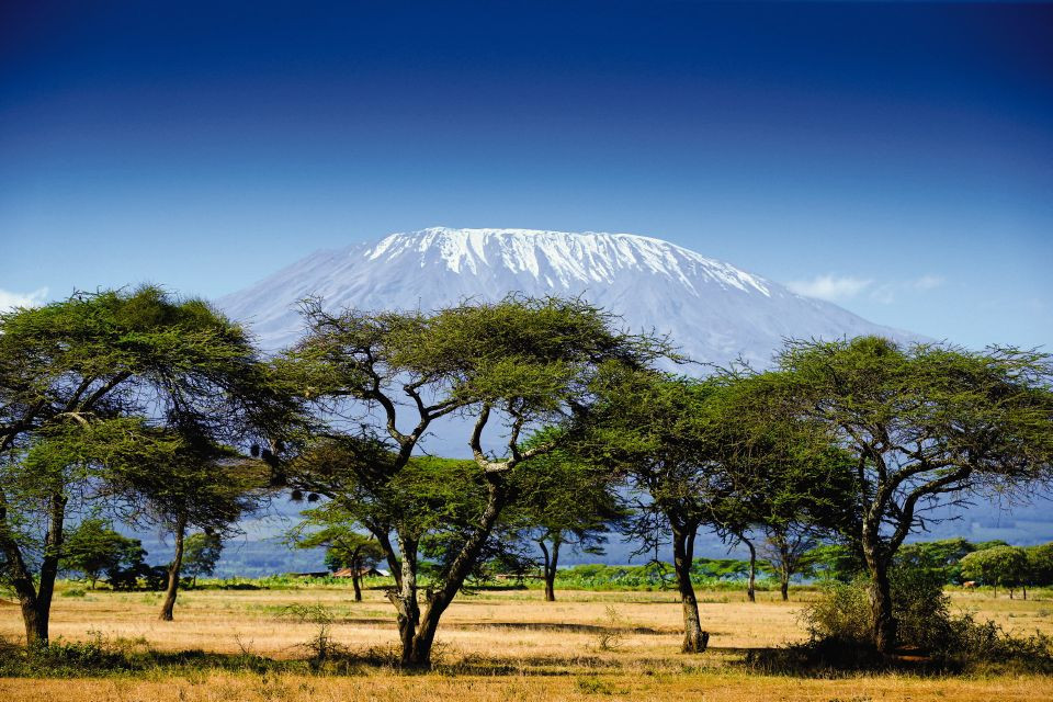 Mount Kenia und Kilimandscharo Die höchsten Berge Afrikas Mit Safari