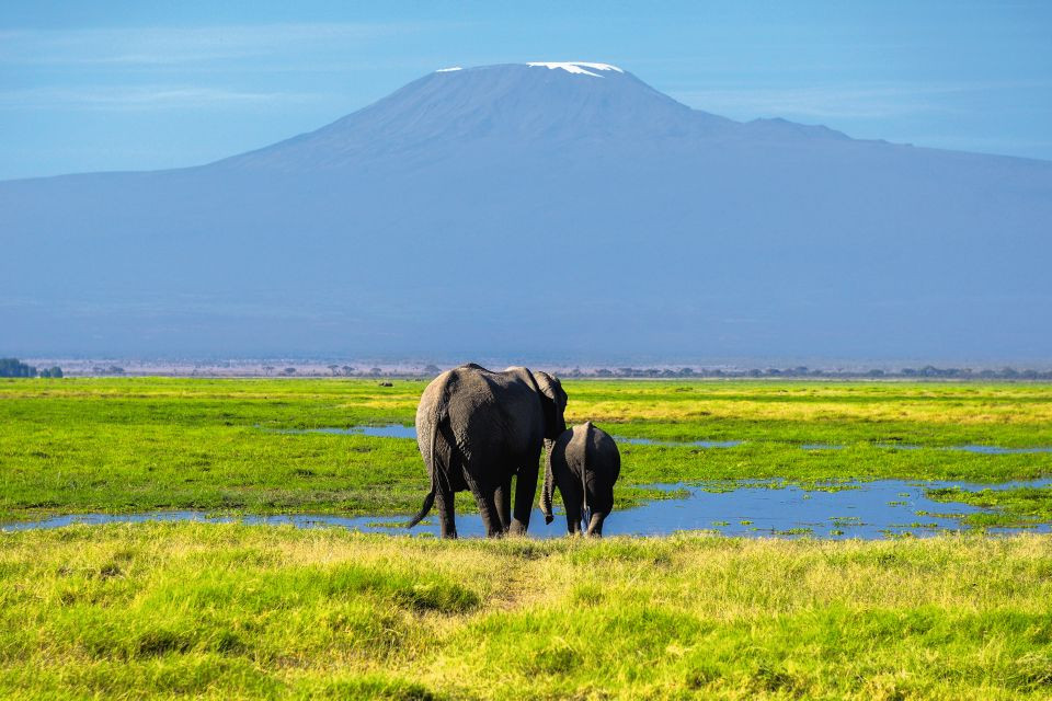 Mount Kenia und Kilimandscharo Die höchsten Berge Afrikas Mit Safari