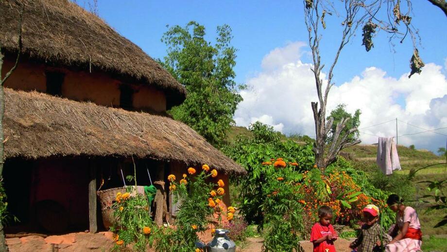 PICT1555.jpg