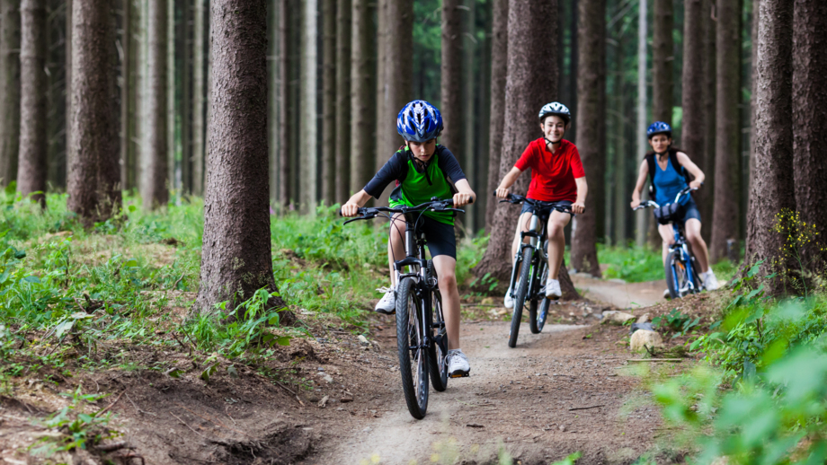 Familie im Wald beim aktiven Mountainbiken