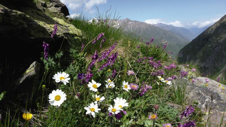 Elbrus_Klaus_Wanger_10.jpg