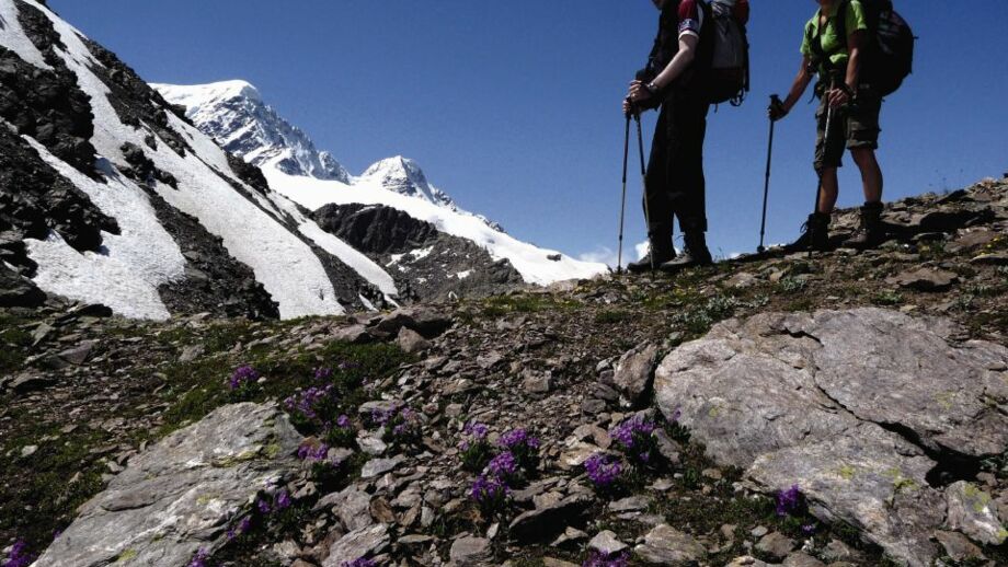 Elbrus_Klaus_Wanger_21.jpg