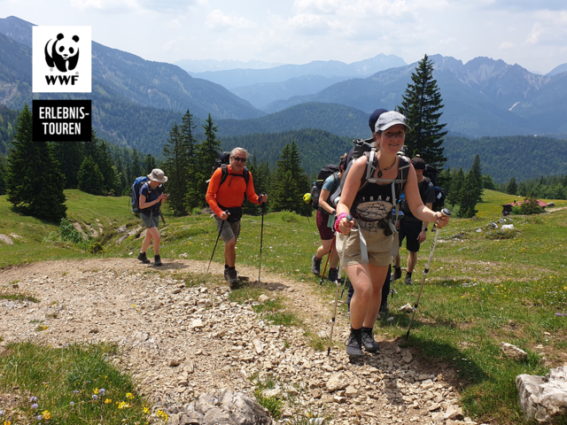 Wandergruppe im Spitzinggebiet bei Sonnenschein