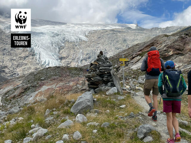 Wandergruppe vor Gletscher