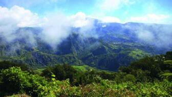 Montagne_Salazie_Vue_Belouve44.jpg