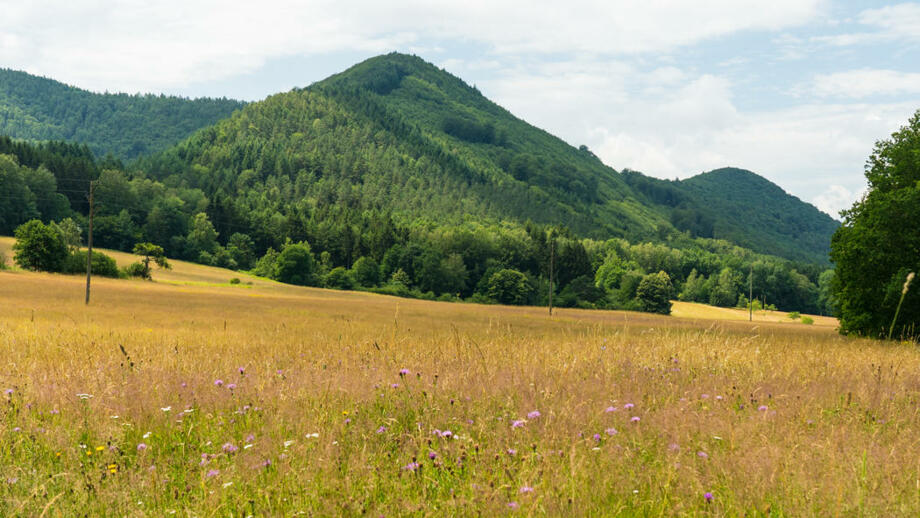 shutterstock_1810810414.jpg