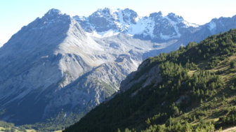 Ausblick auf die Ortler-Gruppe
