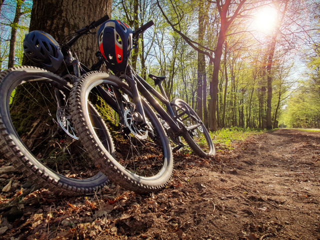 Zwei E-MTB an einem Baum angelehnt