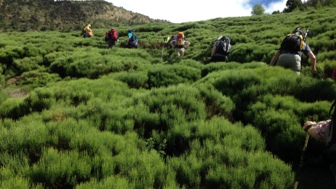 Pyrenäen Wandern Aufstieg