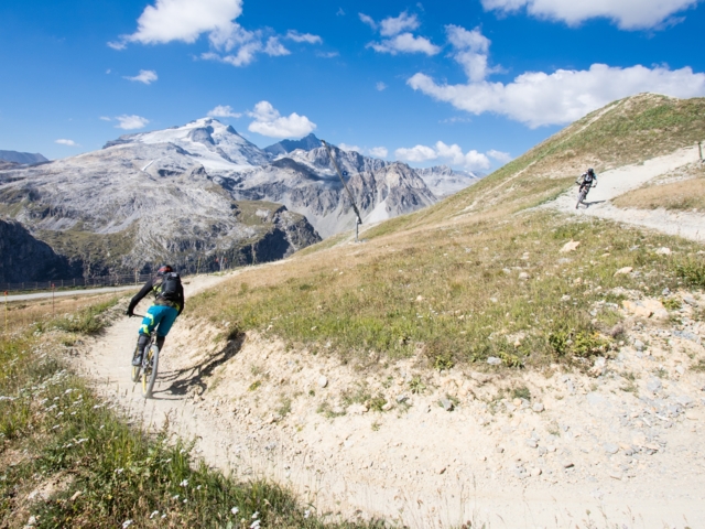Ein Mountainbiker beim Downhill fahren in den Alpen.