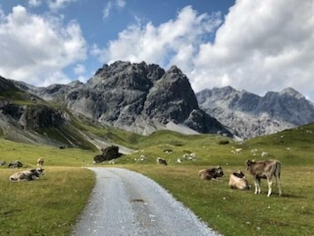 Wanderweg im Val Mora