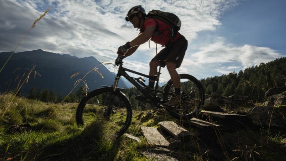StabeleMTB049.jpg