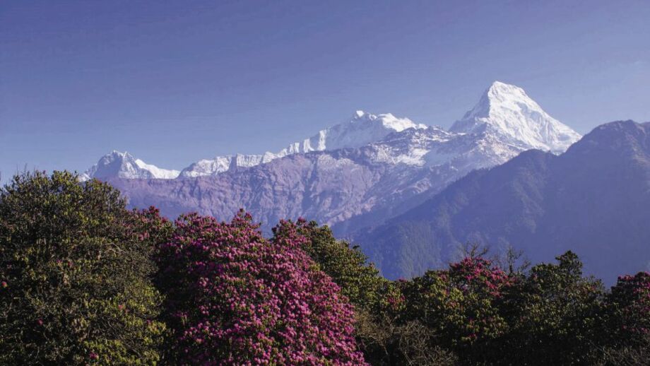 Ausblick auf das Annapurna Gebirge