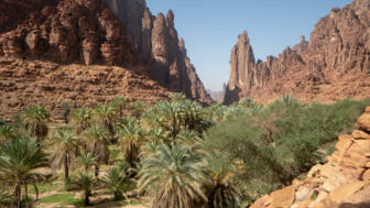 Im Wadi Disah bei Tabul