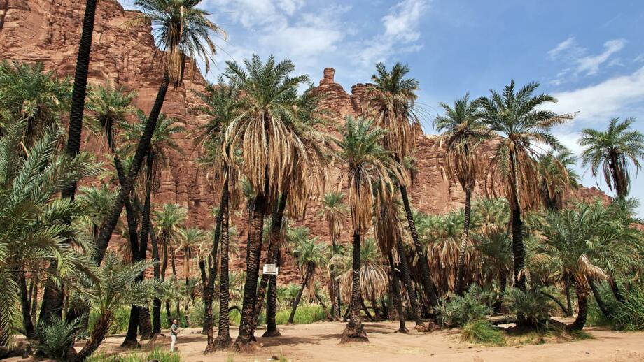 Shaq Canyon und Wadi Disah