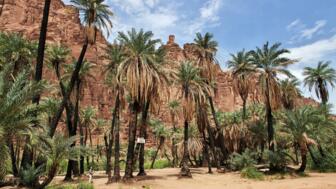 Shaq Canyon und Wadi Disah