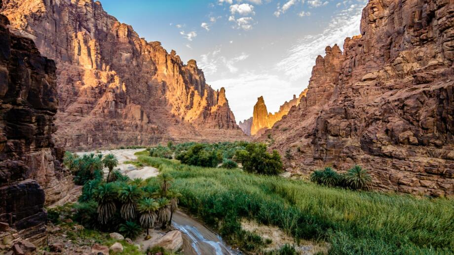 Bezaubernde Oase Wadi Disah