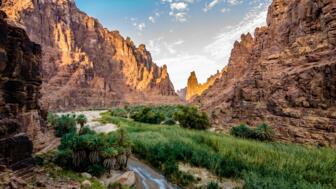 Bezaubernde Oase Wadi Disah