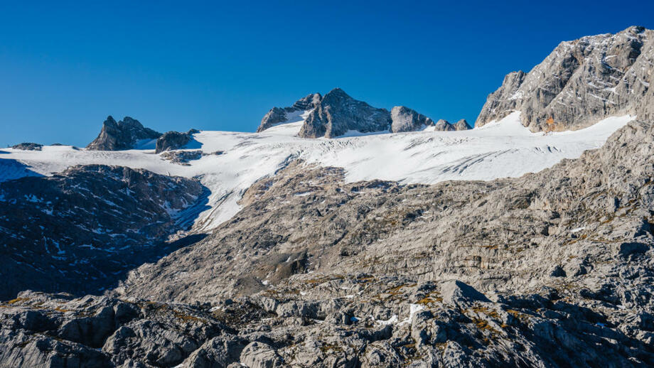 YSABSIM_shutterstock_1212243784.jpg