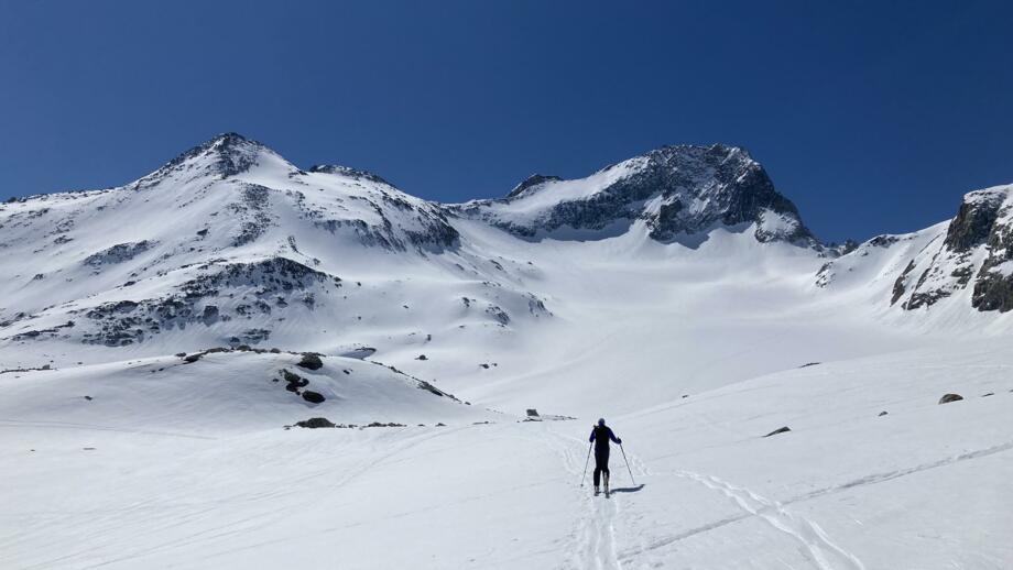 Skitourengeher im Aufstieg nahe der Rotondohütte