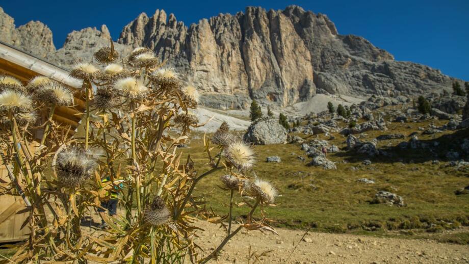 Die karge Landschaft der Dolomiten bei bestem Wetter