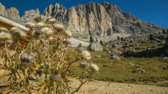 Die karge Landschaft der Dolomiten bei bestem Wetter