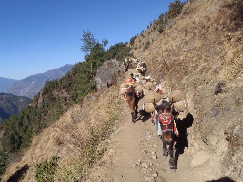 Nepal Wiederaufbau des Langtang Nationalparks