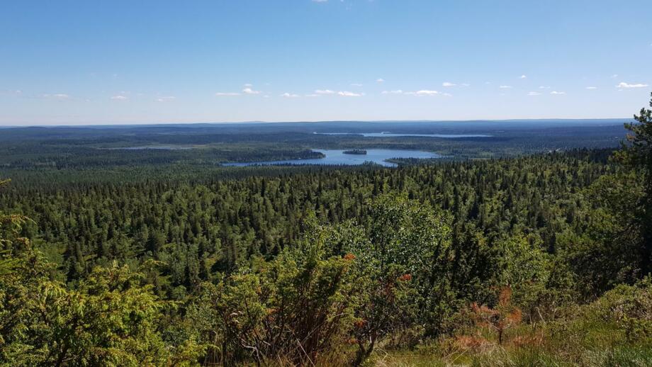 Ausblick über Wälder und Seen im Riisitunturi Nationalpark