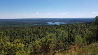 Ausblick über Wälder und Seen im Riisitunturi Nationalpark