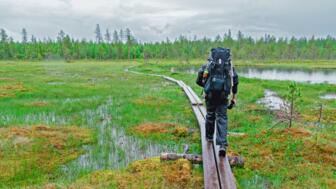 Karkunkierros Weg im Oulanka Nationalpark
