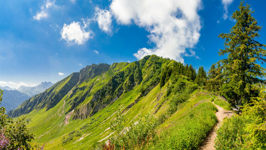 deutschland-allgaeu-sommer-sonne-wanderung-soellerkopf-shutterstock_1253941084.jpg