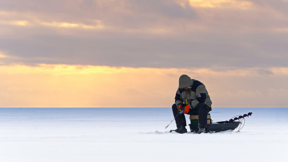 schweden-scwin-fischer-beim-winterangeln-eisfischerei-shutterstock_1921590896.jpg