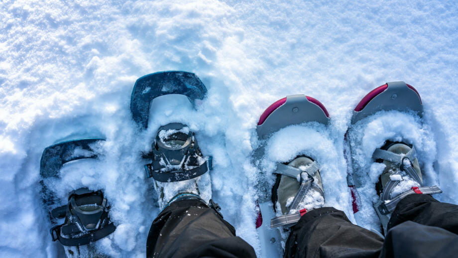 schweden-scwin-wanderer-in-scheeschuhen-shutterstock_1916704616.jpg