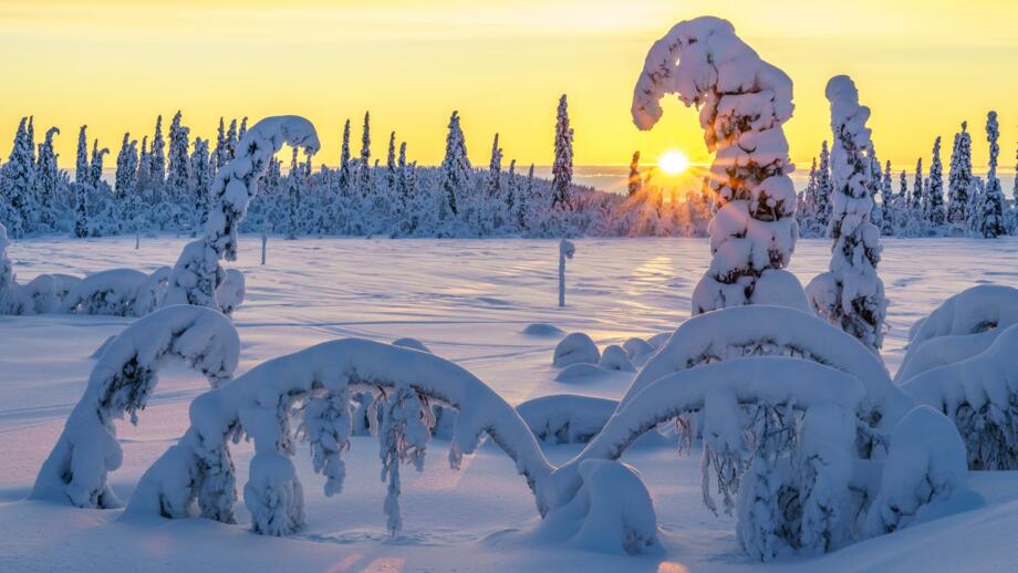 schweden-scwin-winterlandschaft-bei-sonnenuntergang-mit-direktem-licht-mit-buntem-himmel-und-wolken-viel-schnee-auf-den-baeumen-schwedisches-lapland-shutterstock_2037688889.jpg