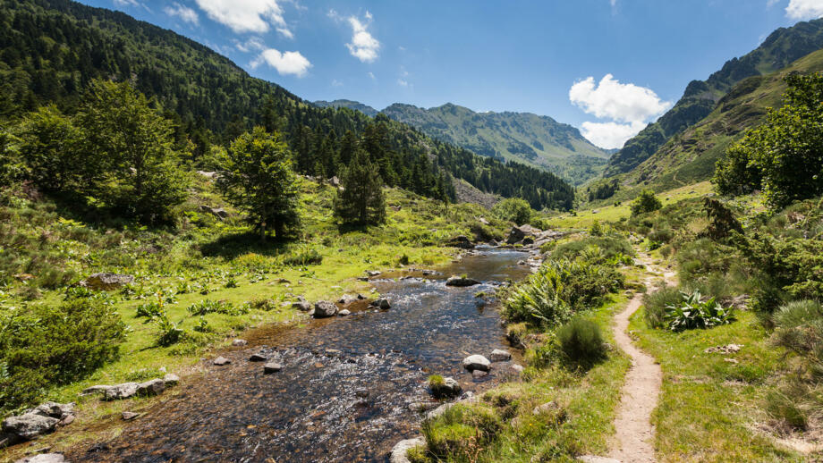 spanien-eskat-river-of-mourguillou-merens-les-vals-shutterstock_504005203.jpg