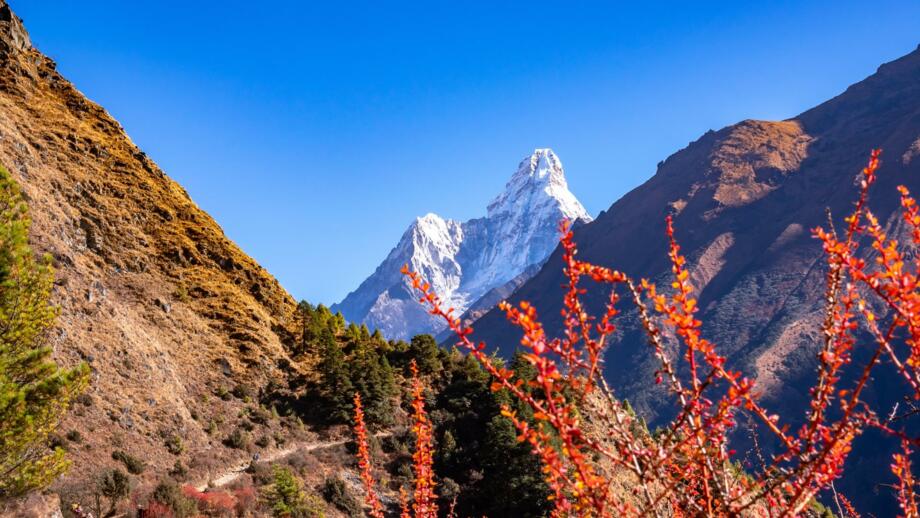 nepal-hiahg-blick-auf-den-ama-dablam-gefangen-auf-der-route-von-tangboche-aus-namche-shutterstock_2464375067.jpg