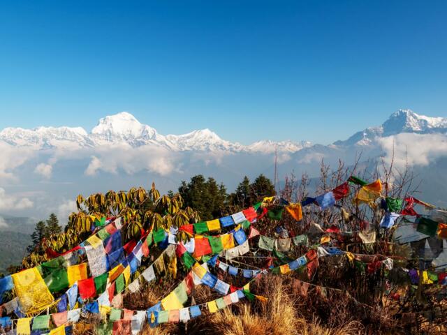 Panoramablick vom Aussichtsberg Poon Hill auf den Dhaulagiri
