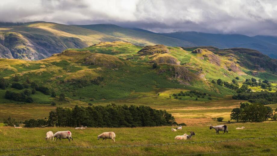 UKLADI_Bergkette_Lake-District_shutterstock_2192824083.jpg