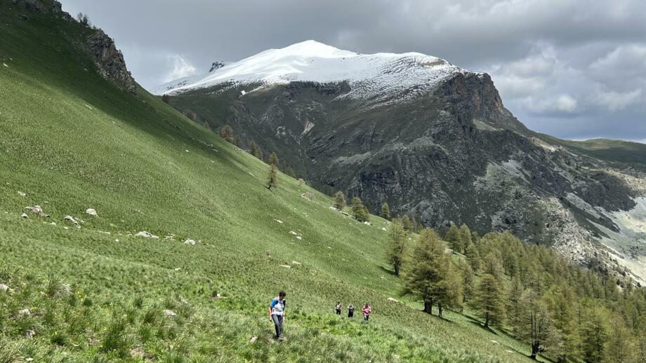 Italien-Piemont-ValleMaira-HHMAIRA-Frühling2023 (22).jpg
