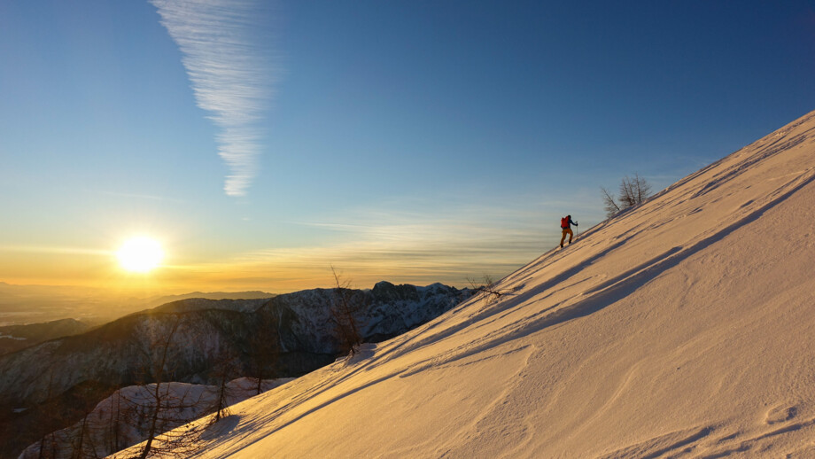 Skifahrerin genießt Powder Abfahrt