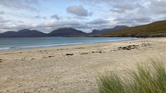 Eine Dünenlandschaft mit Schilf und dem Meer im Hintergrund.