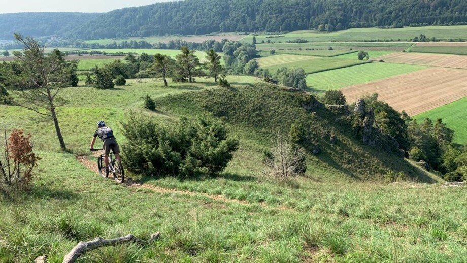 Ein Mountainbiker unterwegs auf einem Pfad im Altmühltal.