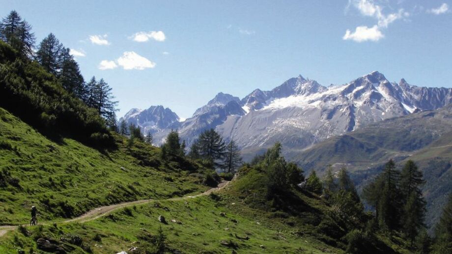 Die Schweizer Bergwelt bei Sonnenschein mit dem MTB Trail im Vordergrund.