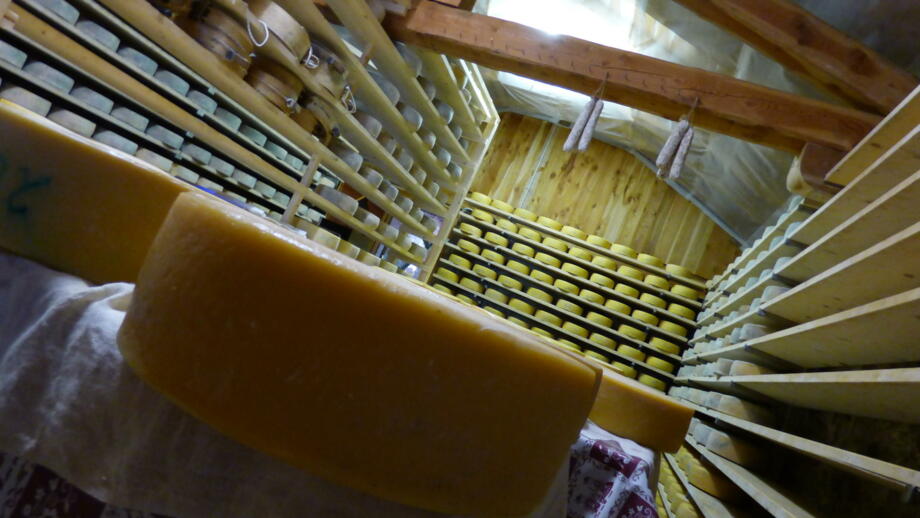 Food_Cheese_Malga Bordolona_malghe_Farms_Val di Sole_Val di rabbi_ortles-cevedale (7).jpg