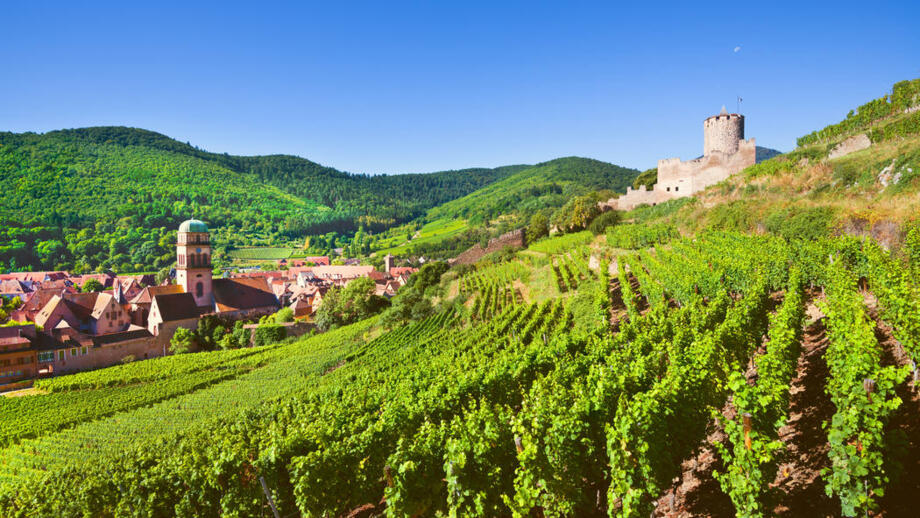 shutterstock_572949991_FRVOG.jpg