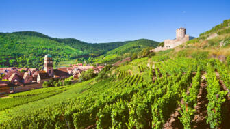 shutterstock_572949991_FRVOG.jpg
