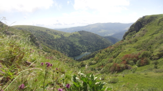 FRVOG_Bilder_Agentur_Lac de Schiessrothried.JPG